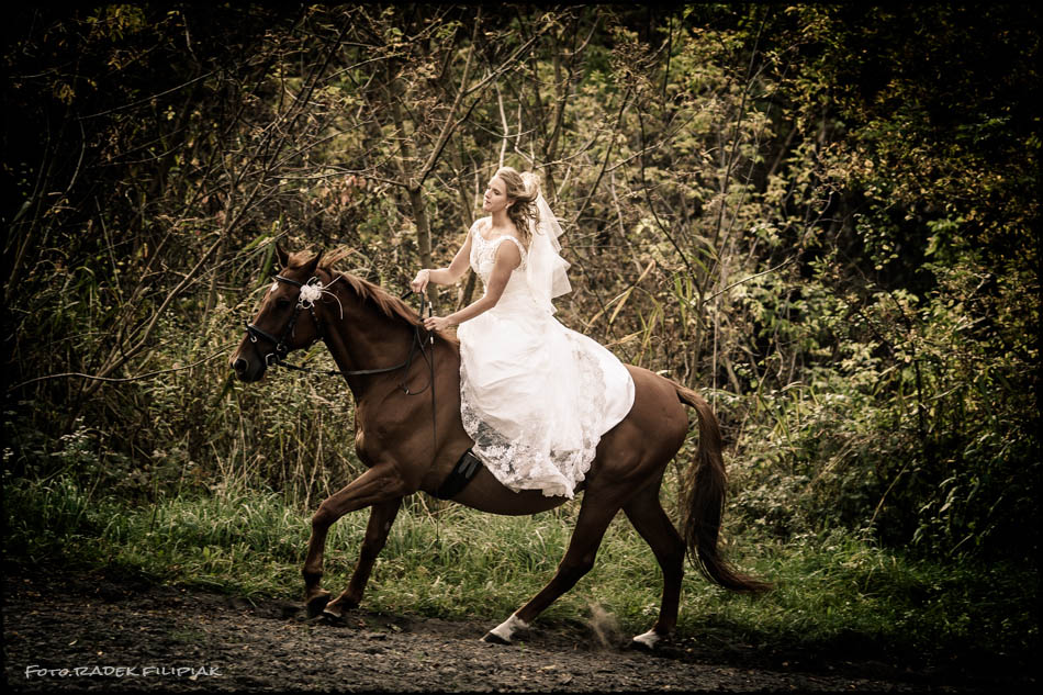 plener ślubny z końmi w województwie lubelskim