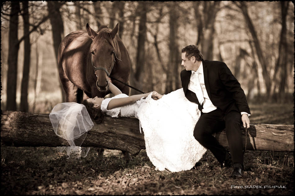 sesja ślubna z koniem